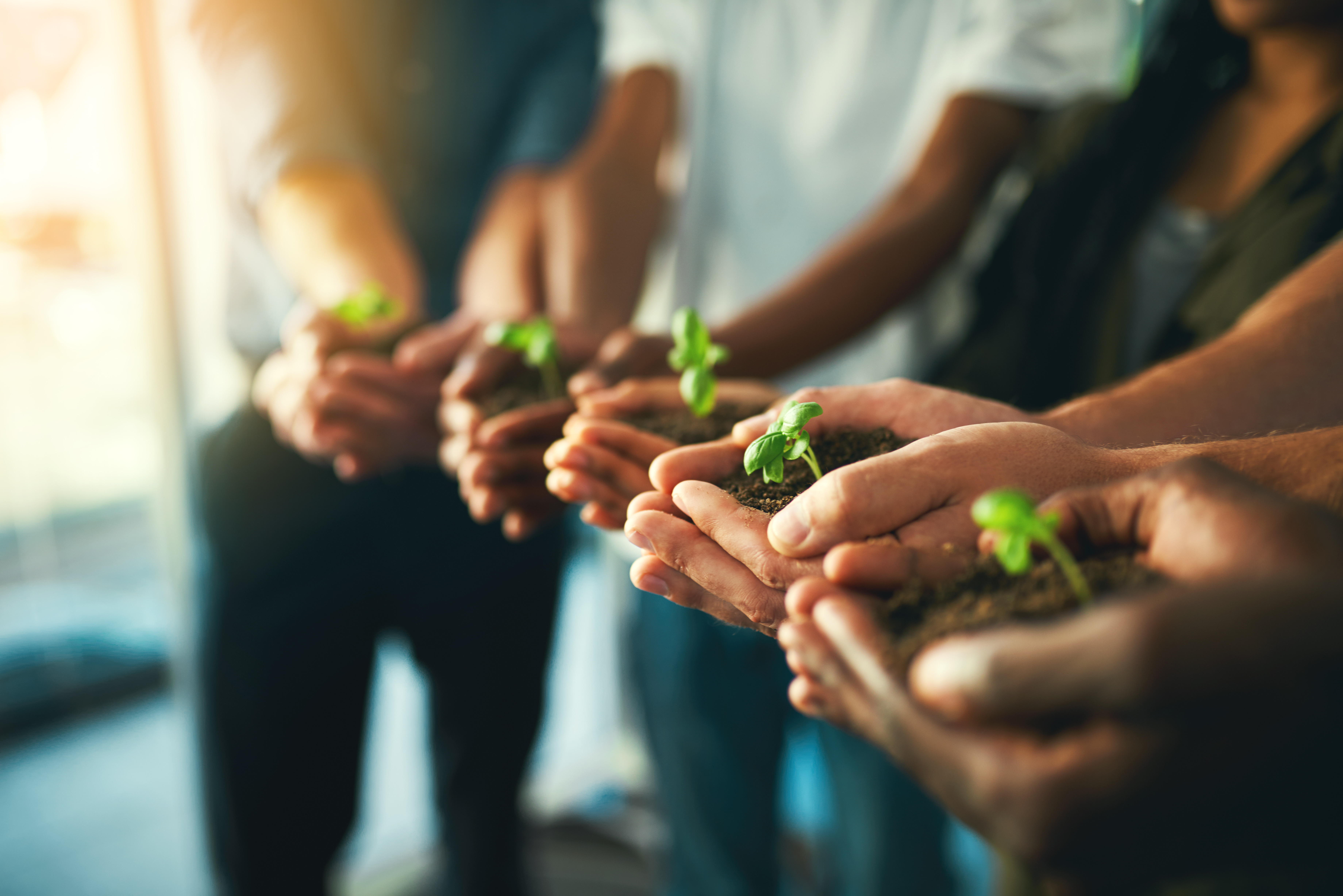 lets-grow-together-2023-11-27-05-02-33-utc